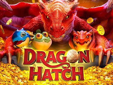pgsdragonhatch_Horizontal.jpg