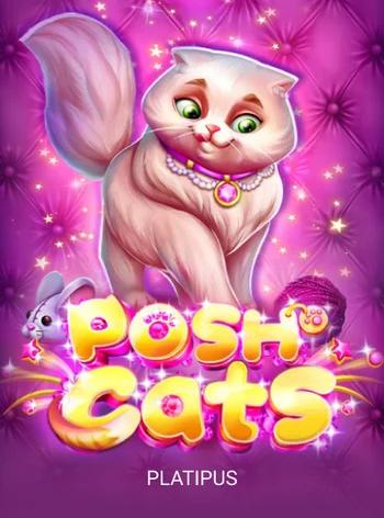 platipus_posh-cats.webp